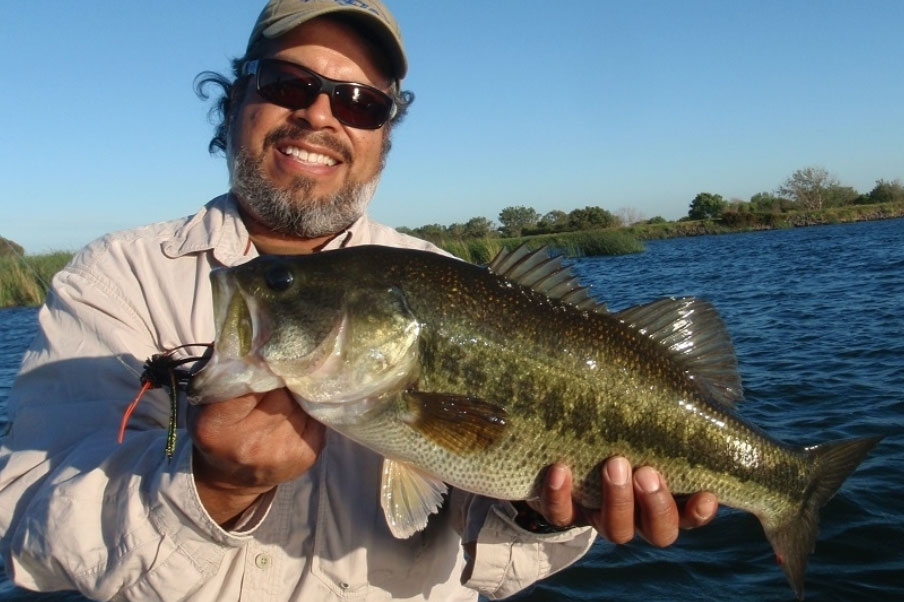 A delta largemouth caught on a fly
