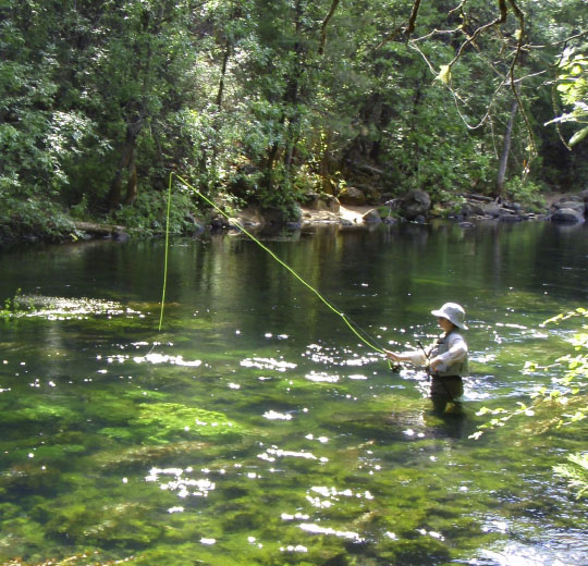 Burney Creek is crystal clear, highly scenic and a great place to learn how to fly fish.