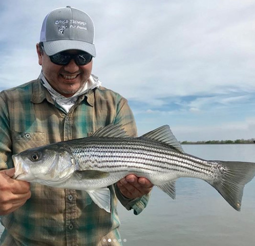 The California Delta is only an hour from Sacramento and offers excellent fly fishing opportunities for stripers, smallmouth and largemouth bass.