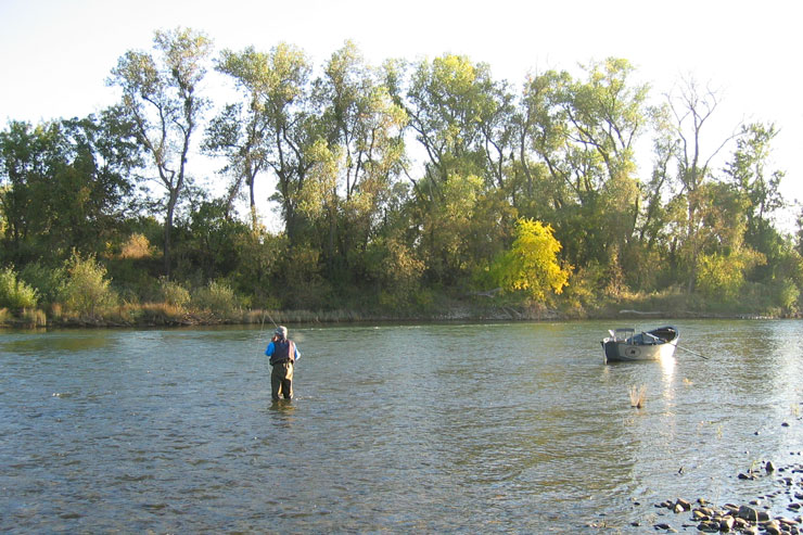 Wade fishing can be very productive on the Feather River