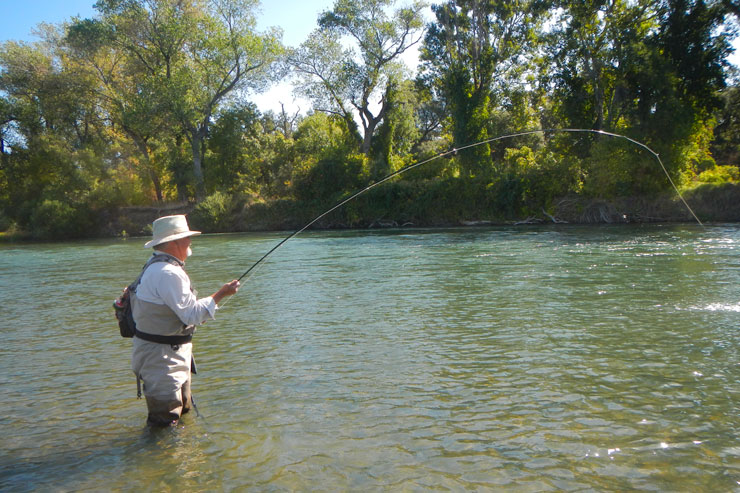 An angler lands a fish that he swung up on the Sac