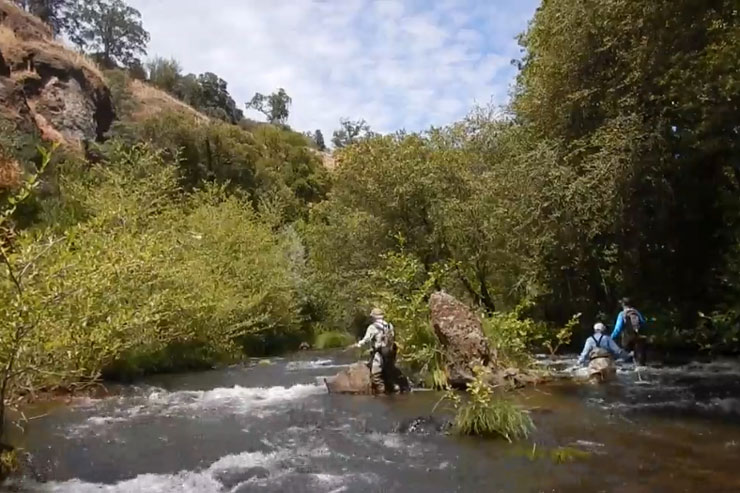 Small streams are ideal for learning to fly fish